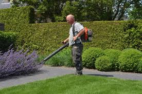 Tuinonderhoud